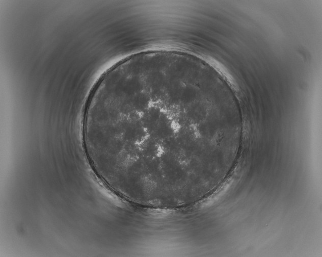 X0000110860854200907021414