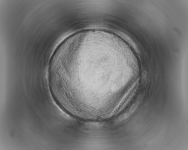 X0000110860855200907021414