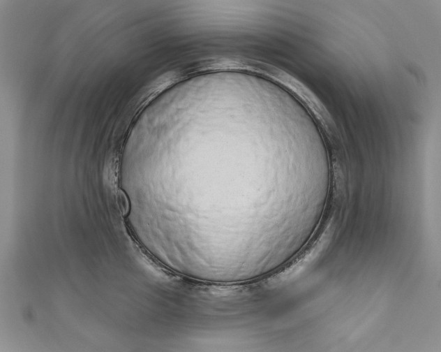 X0000110860857200907021414