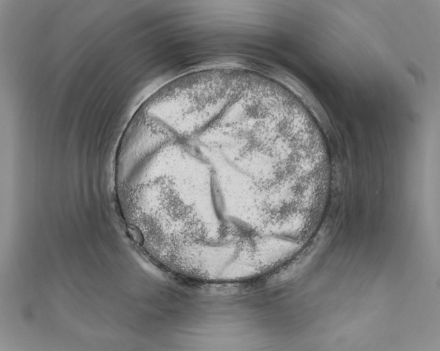 X0000110860858200907021414