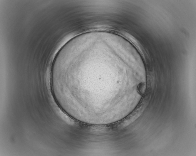 X0000110860859200907021414