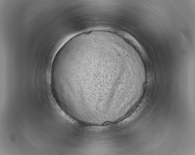 X0000110860860200907021414