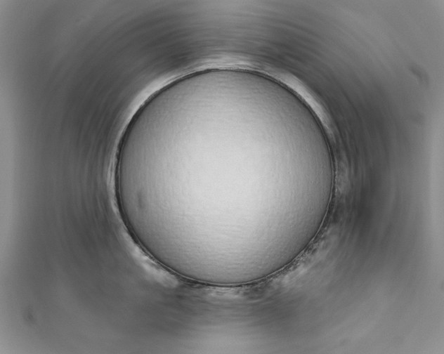 X0000110860861200907021414