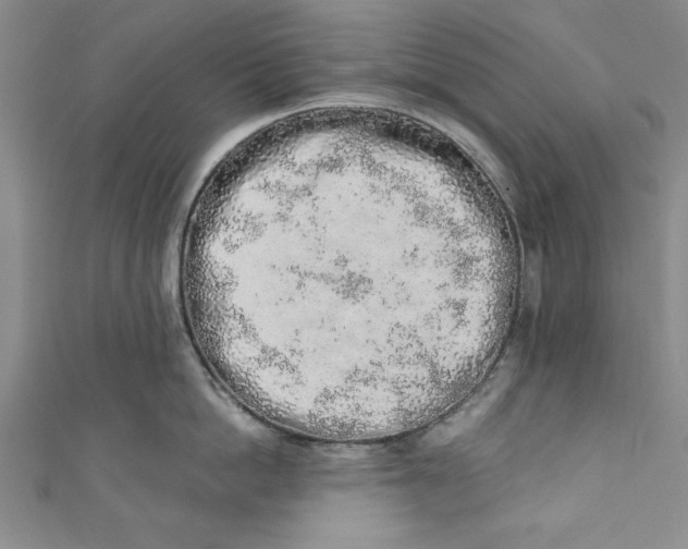 X0000110860862200907021414