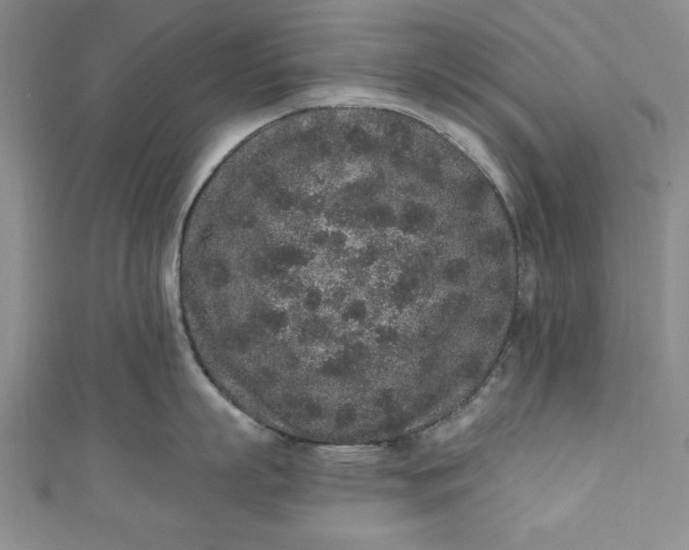 X0000110860863200907021414