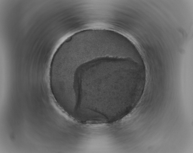 X0000110860864200907021414