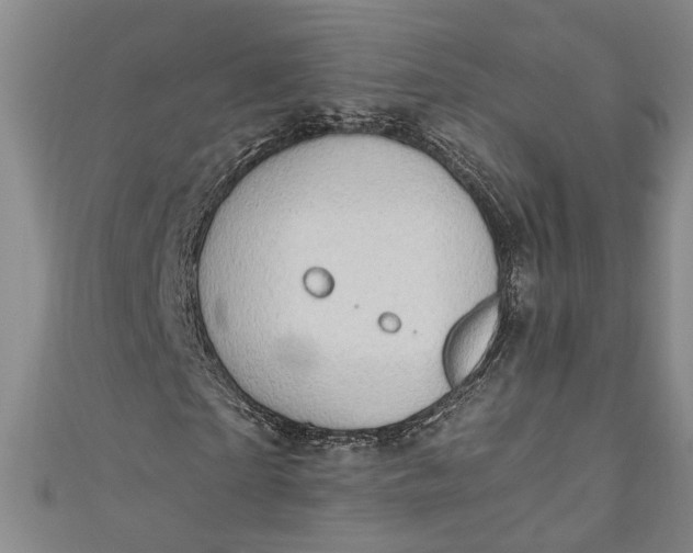 X0000110860865200907021414