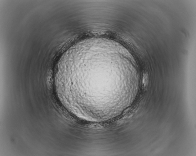 X0000110860867200907021414