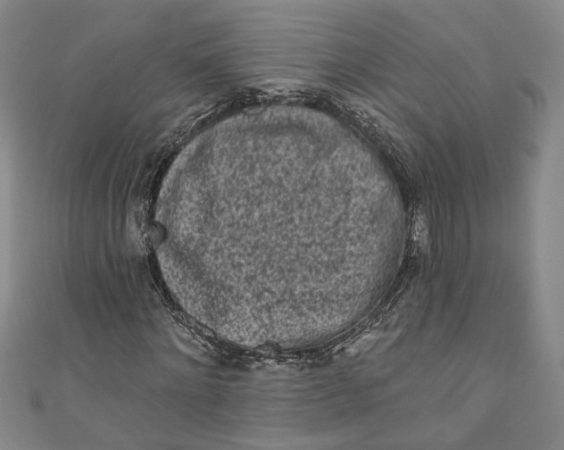 X0000110860868200907021414