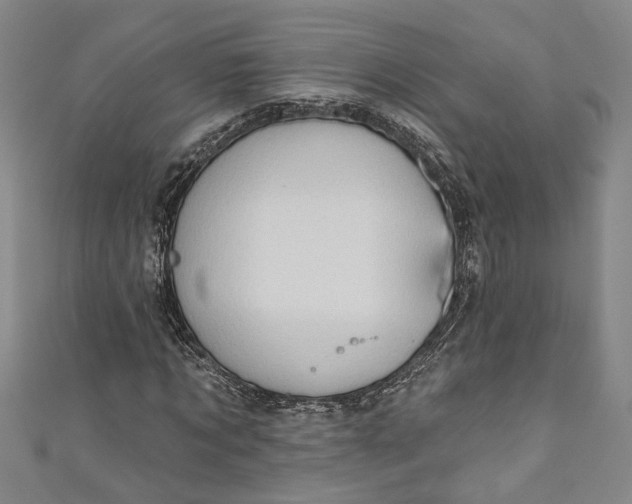 X0000110860869200907021413