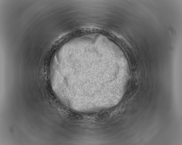 X0000110860870200907021413