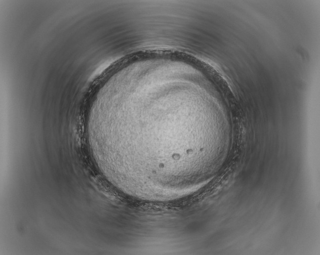 X0000110860871200907021413