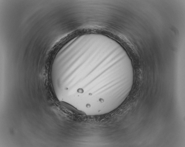 X0000110860872200907021413