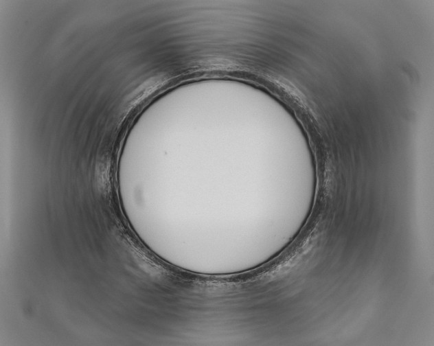 X0000110860873200907021413