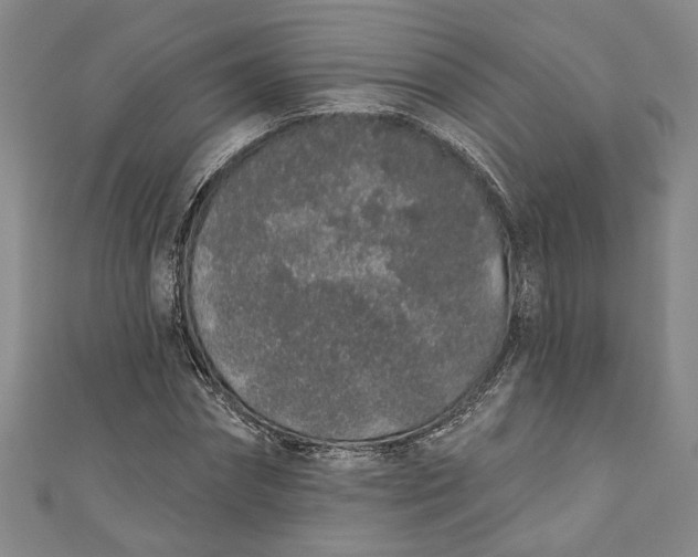 X0000110860874200907021413