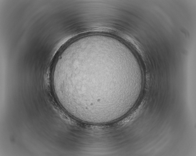 X0000110860875200907021413