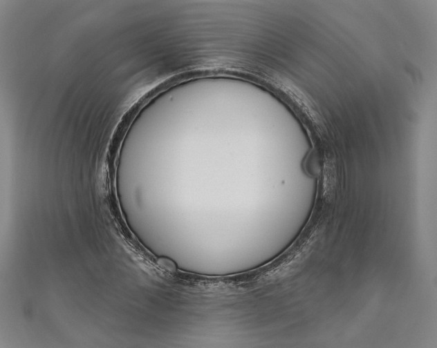 X0000110860876200907021413