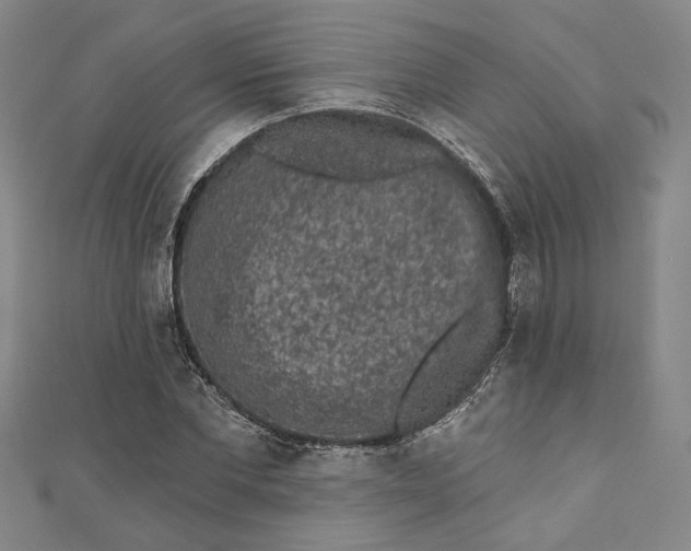 X0000110860877200907021413