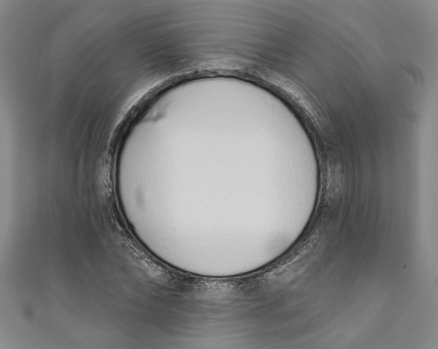 X0000110860878200907021413