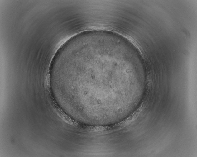 X0000110860879200907021413