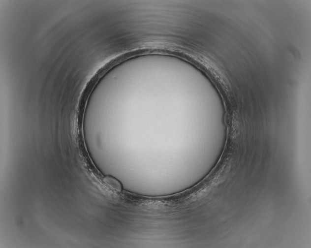 X0000110860880200907021413