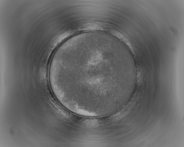 X0000110860882200907021413