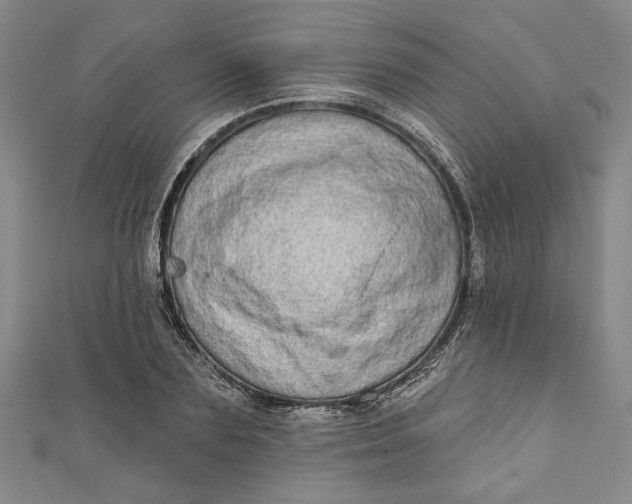 X0000110860883200907021413