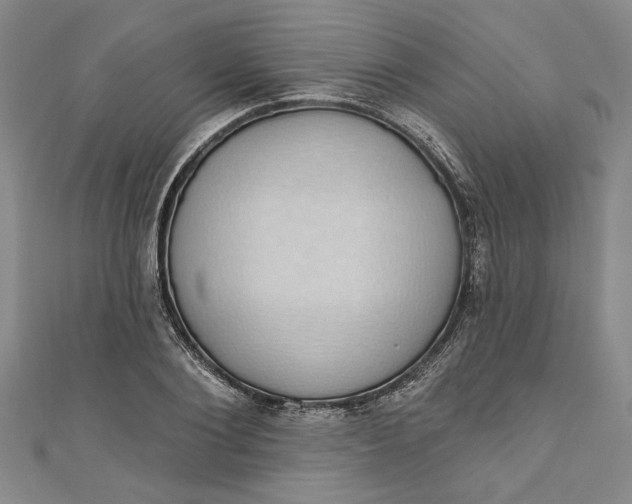 X0000110860884200907021413