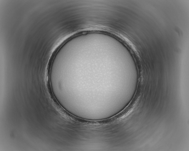 X0000110860885200907021413