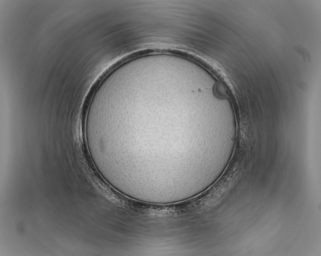 X0000110860887200907021413