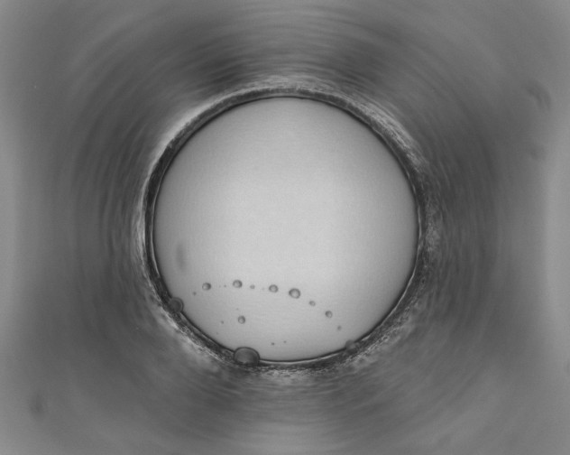 X0000110860888200907021413