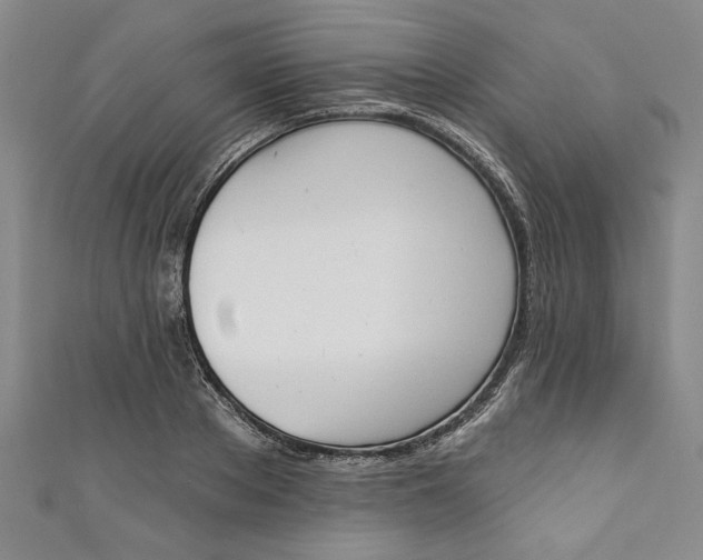 X0000110860889200907021413