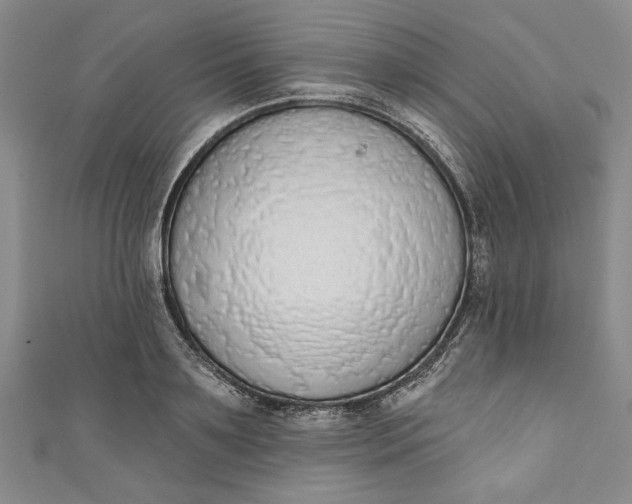 X0000110860891200907021413