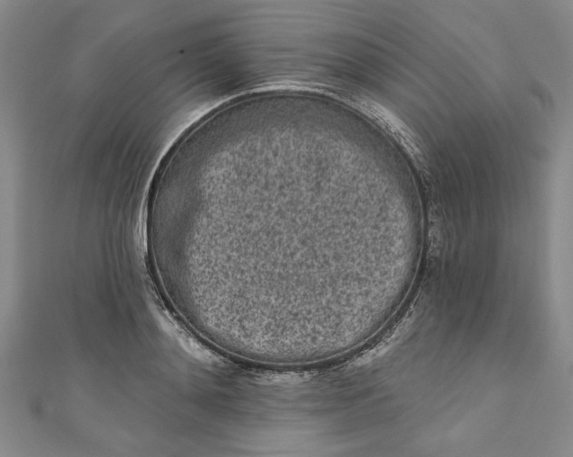 X0000110860892200907021413