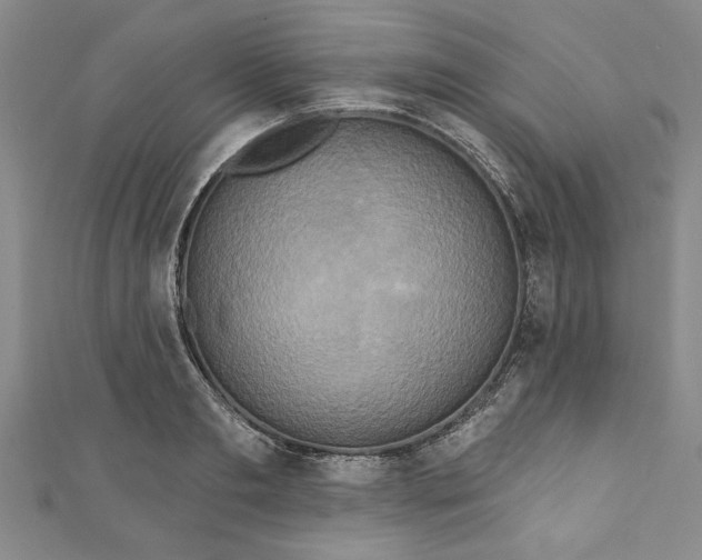 X0000110860893200907021413