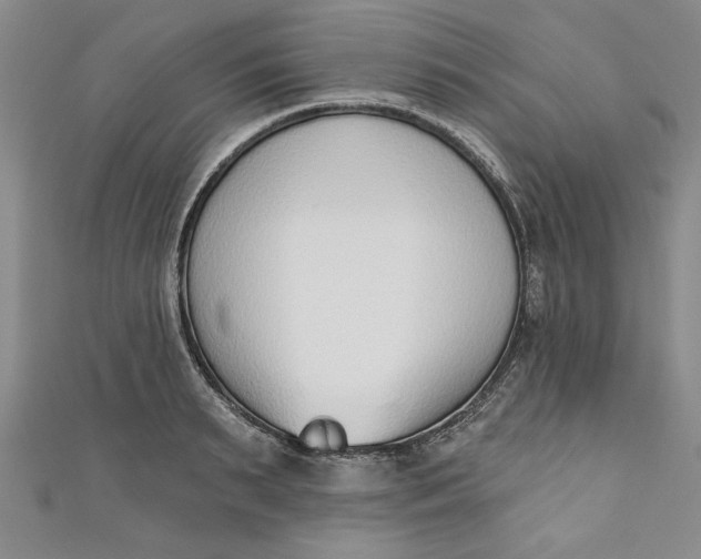 X0000110860895200907021413