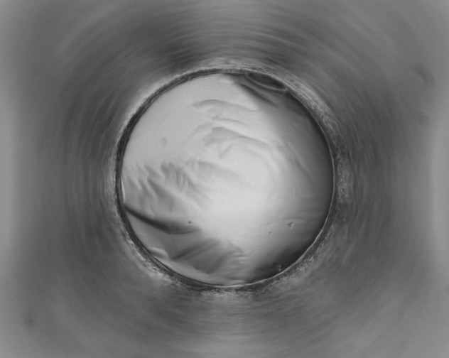 X0000110860896200907021413