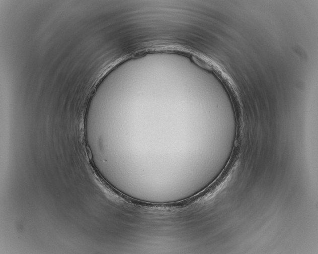 X0000110860897200907021413