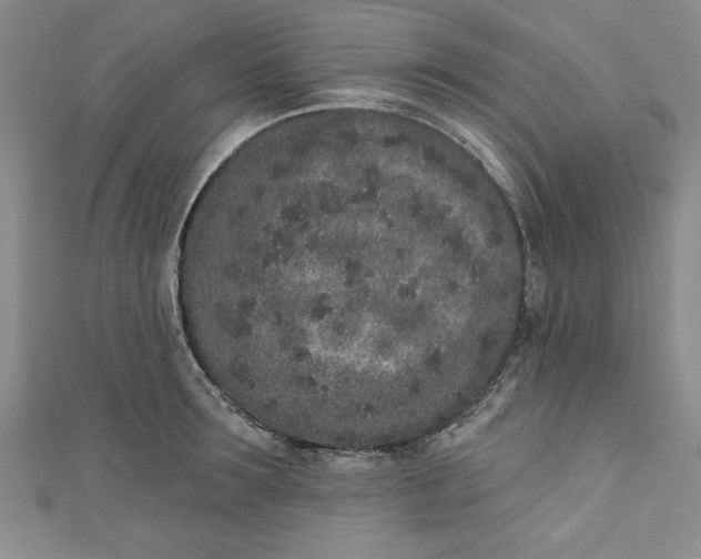 X0000110860899200907021413