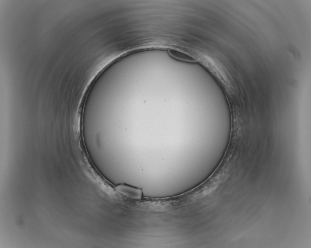 X0000110860900200907021413