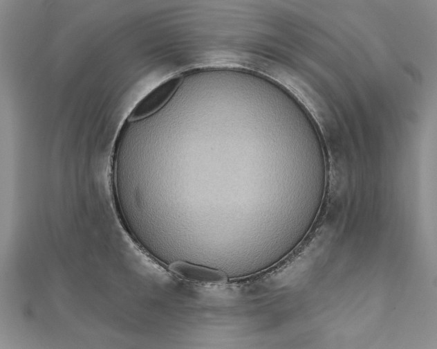 X0000110860901200907021413