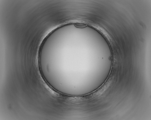 X0000110860902200907021413