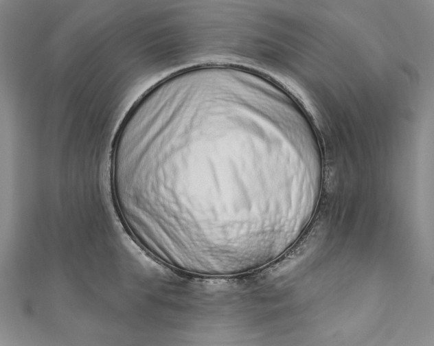 X0000110860903200907021413