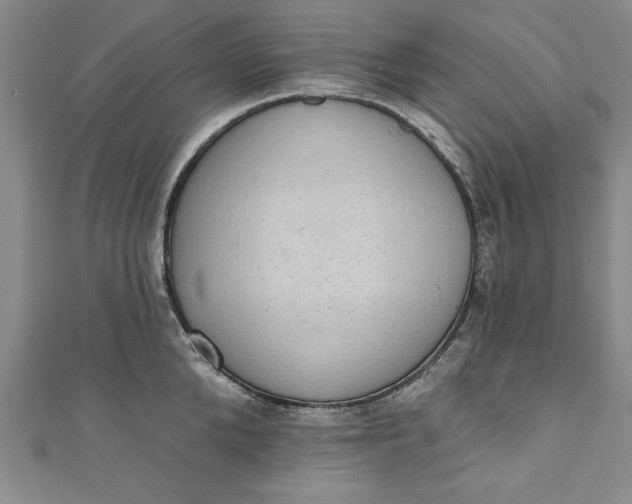 X0000110860904200907021413