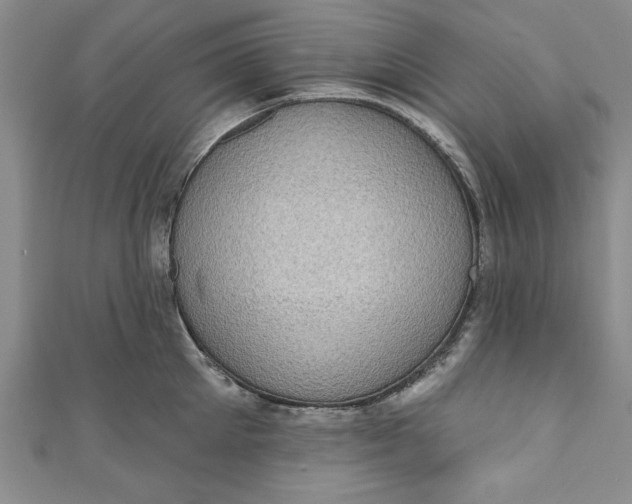 X0000110860905200907021413