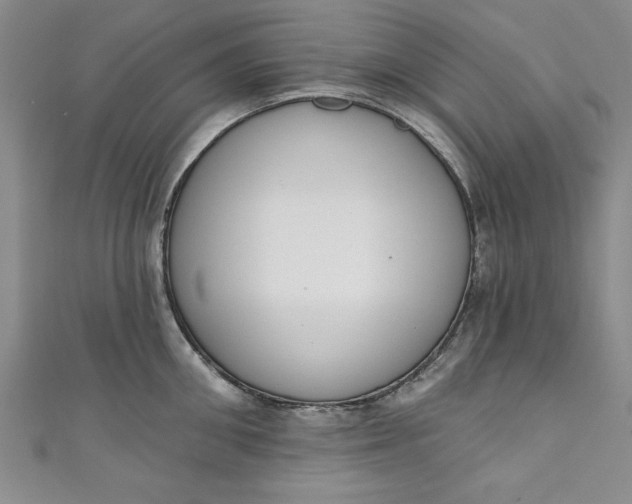 X0000110860906200907021413