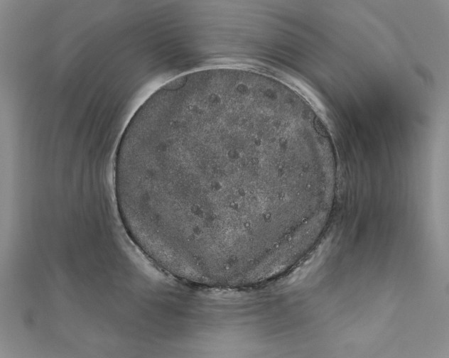 X0000110860907200907021413