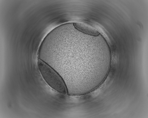 X0000110860908200907021413