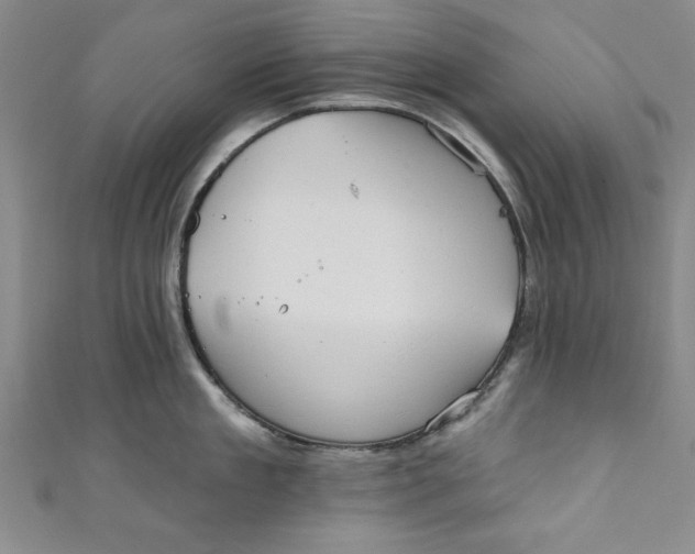 X0000110860909200907021413