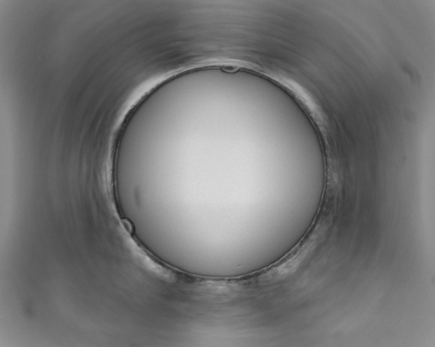 X0000110860910200907021413